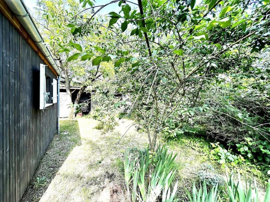 Harmonie - Agreable Maison Situee Dans Un Ecrin De Verdure La Tremblade Exteriör bild